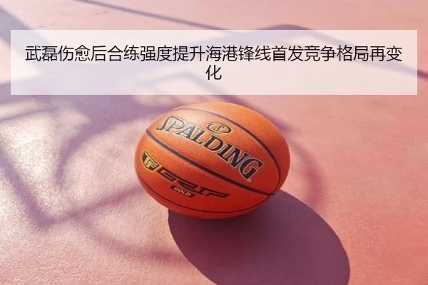 武磊伤愈后合练强度提升海港锋线首发竞争格局再变化