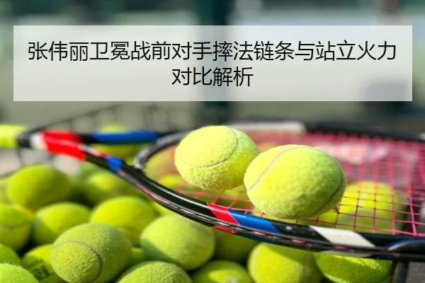 张伟丽卫冕战前对手摔法链条与站立火力对比解析